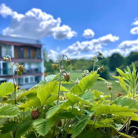 Apartman 200m Od Morza - Spokoj, Cisza, Zielen, Hamak Sopot
